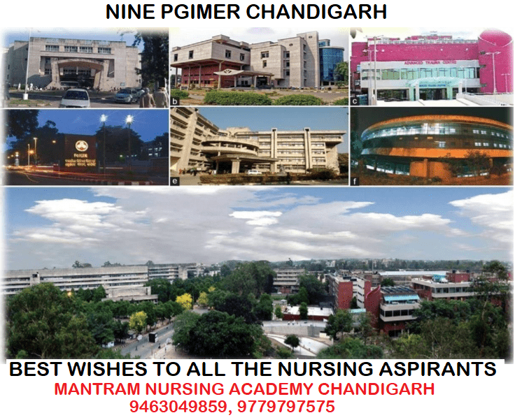 pgi nursing college nine